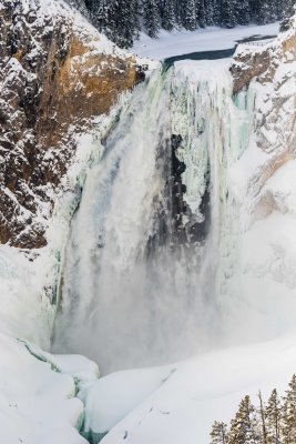 Yellowstone NP 20180117_0180.jpg