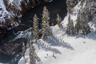 Yellowstone NP 20180117_0193.jpg