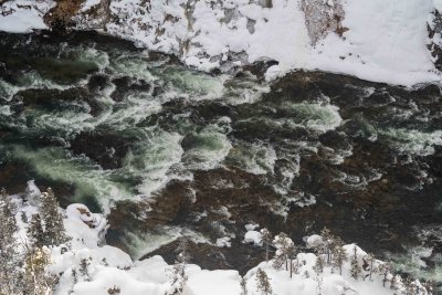 Yellowstone NP 20180117_0200.jpg