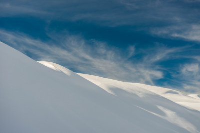 Yellowstone NP 20180117_0209.jpg
