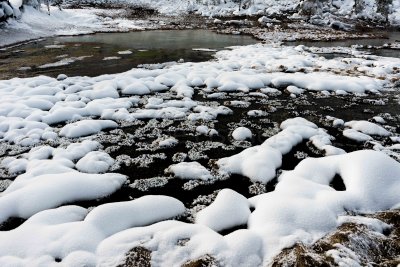 Yellowstone NP 20180117_0227.jpg