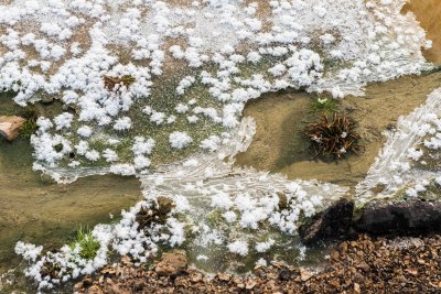 Yellowstone NP 20180117_0232.jpg