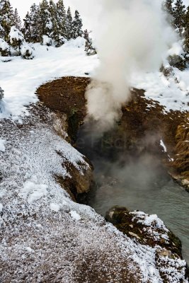 Yellowstone NP 20180117_0237.jpg
