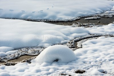 Yellowstone NP 20180117_0257.jpg