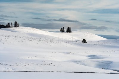 Yellowstone NP 20180117_0271.jpg