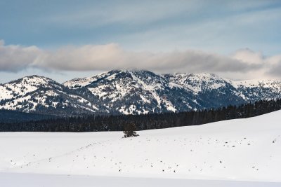 Yellowstone NP 20180117_0274.jpg