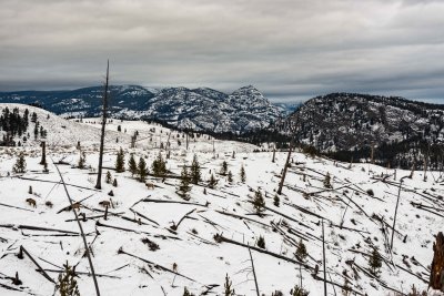 Yellowstone NP 20180118_0421.jpg