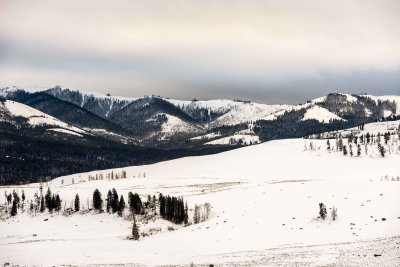 Yellowstone NP 20180118_0438.jpg