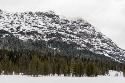 Yellowstone NP 20180118_0449.jpg