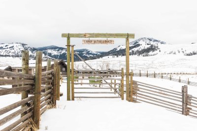Yellowstone NP 20180118_0498.jpg