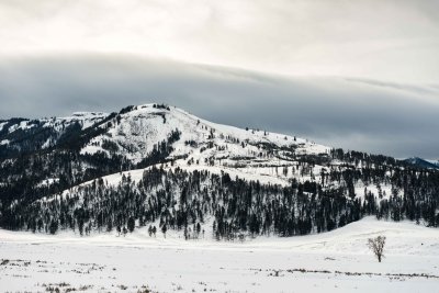 Yellowstone NP 20180118_0501.jpg