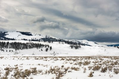 Yellowstone NP 20180118_0503-Edit.jpg