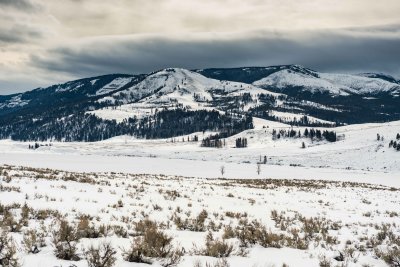 Yellowstone NP 20180118_0506.jpg