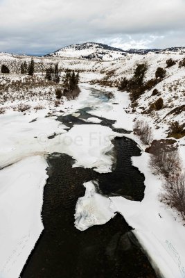 Yellowstone NP 20180118_0602.jpg