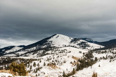 Yellowstone NP 20180118_0616.jpg