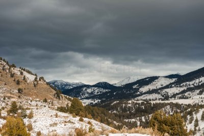 Yellowstone NP 20180118_0617.jpg