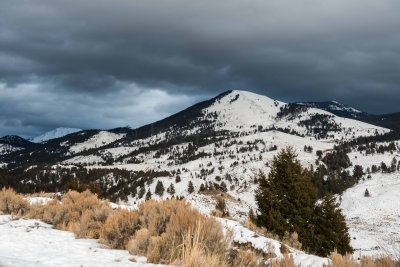 Yellowstone NP 20180118_0634.jpg