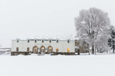 Yellowstone NP 20180119_0648.jpg