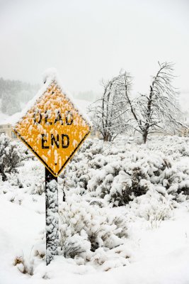 Yellowstone NP 20180119_0675.jpg