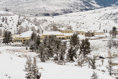 Yellowstone NP 20180119_0746.jpg