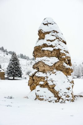 Yellowstone NP 20180119_0682.jpg