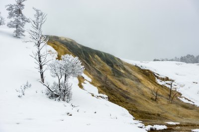 Yellowstone NP 20180119_0683.jpg