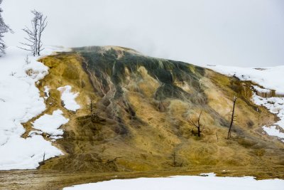 Yellowstone NP 20180119_0684.jpg