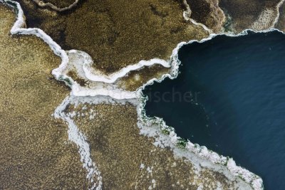 Yellowstone NP 20180119_0704.jpg