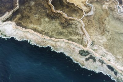 Yellowstone NP 20180119_0707.jpg