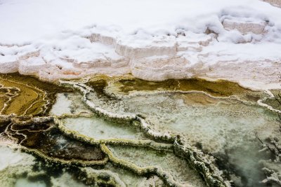 Yellowstone NP 20180119_0708.jpg