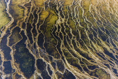 Yellowstone NP 20180119_0710.jpg