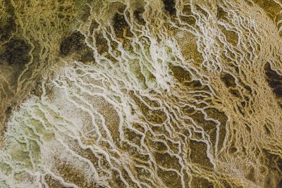 Yellowstone NP 20180119_0712.jpg