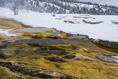 Yellowstone NP 20180119_0715.jpg