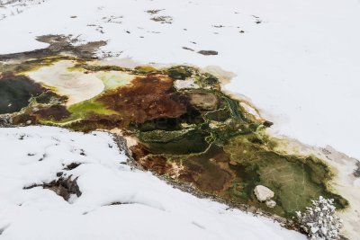 Yellowstone NP 20180119_0725.jpg