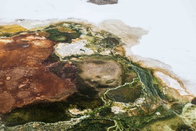 Yellowstone NP 20180119_0727.jpg