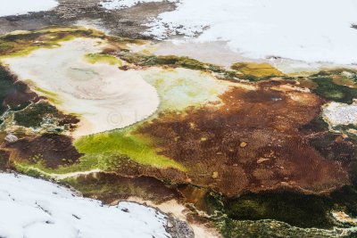 Yellowstone NP 20180119_0728.jpg