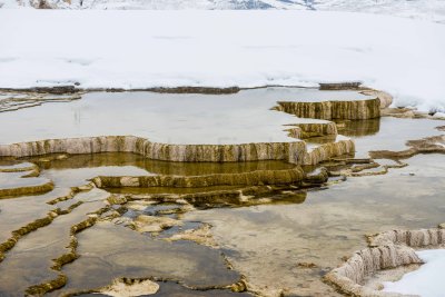 Yellowstone NP 20180119_0733.jpg