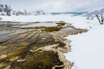 Yellowstone NP 20180119_0734.jpg