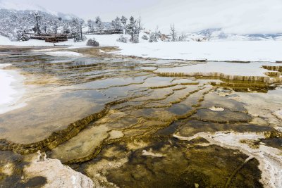 Yellowstone NP 20180119_0735.jpg