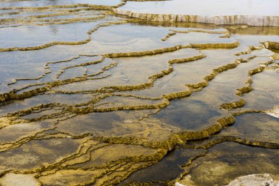 Yellowstone NP 20180119_0736.jpg