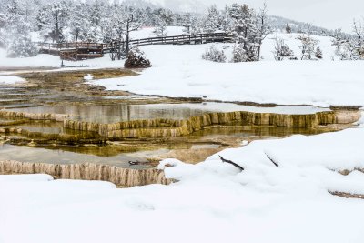 Yellowstone NP 20180119_0737.jpg