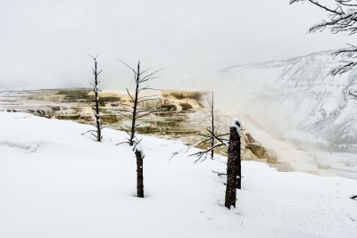 Yellowstone NP 20180119_0740.jpg