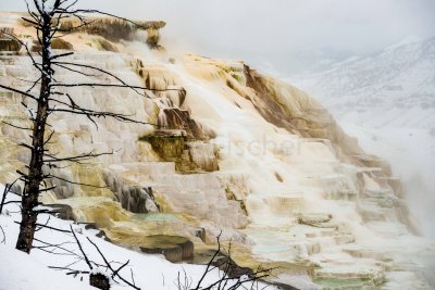 Yellowstone NP 20180119_0743.jpg