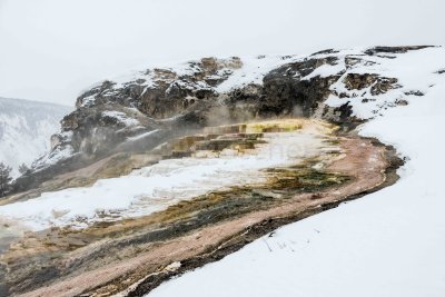 Yellowstone NP 20180119_0745.jpg