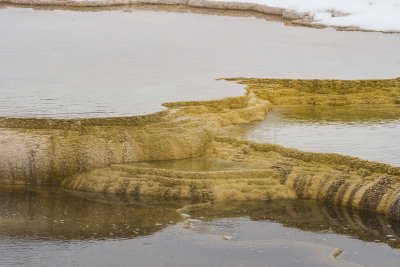 Yellowstone NP 20180119_0748.jpg