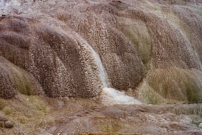 Yellowstone NP 20180119_0749.jpg