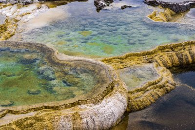 Yellowstone NP 20180119_0750.jpg