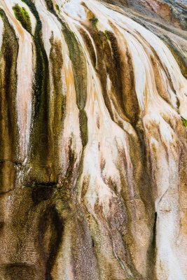Yellowstone NP 20180119_0778.jpg