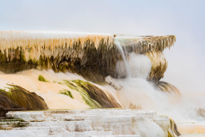 Yellowstone NP 20180119_0827.jpg