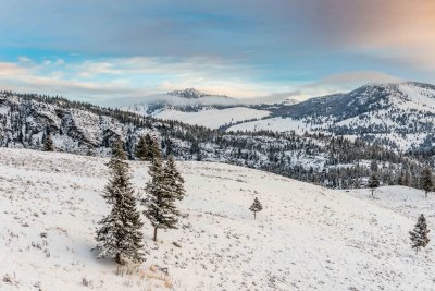 Yellowstone NP 20180120_0874.jpg